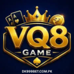 VQ8 Game